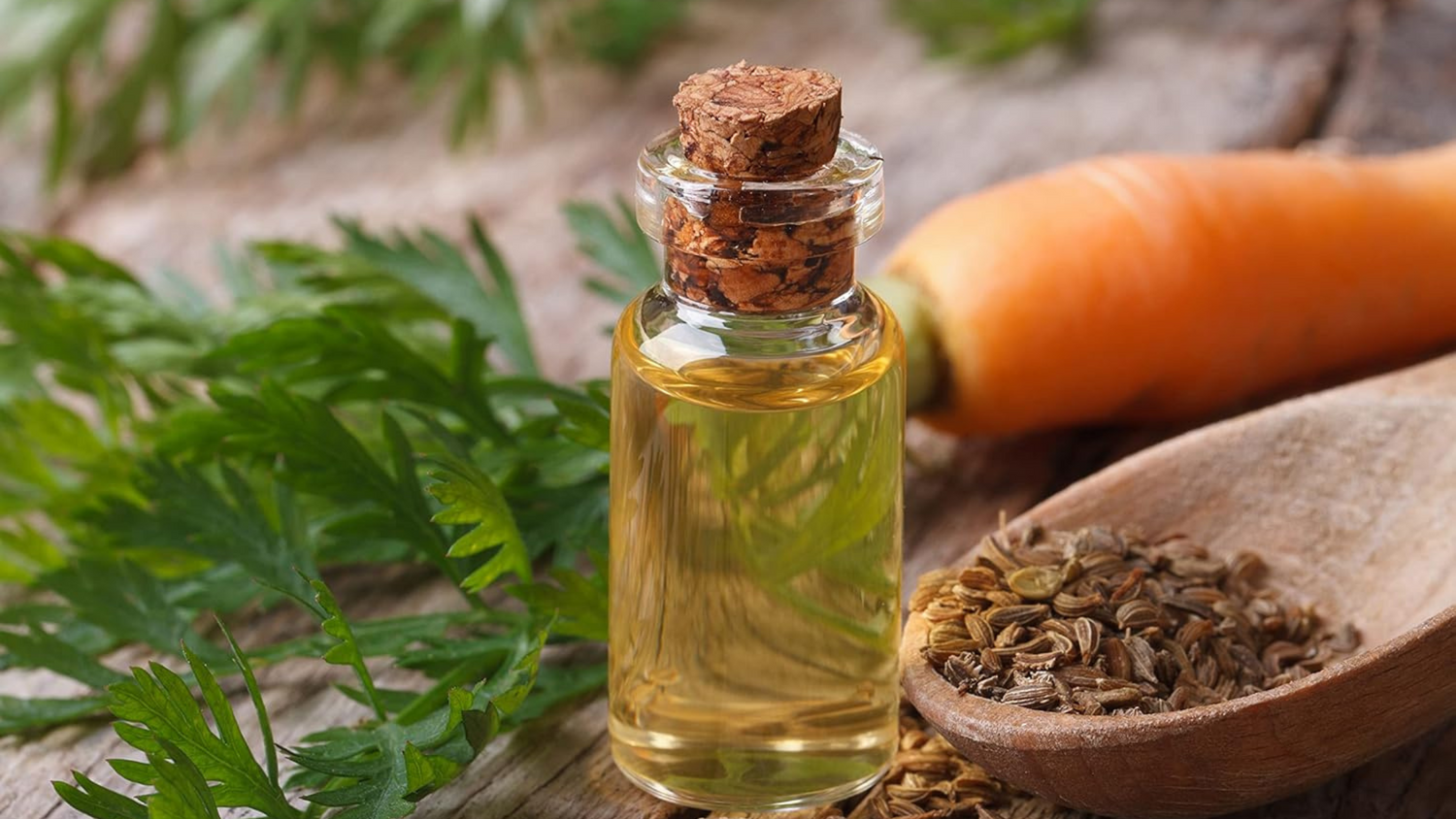 The Power of Carrot Seed Oil in Skincare