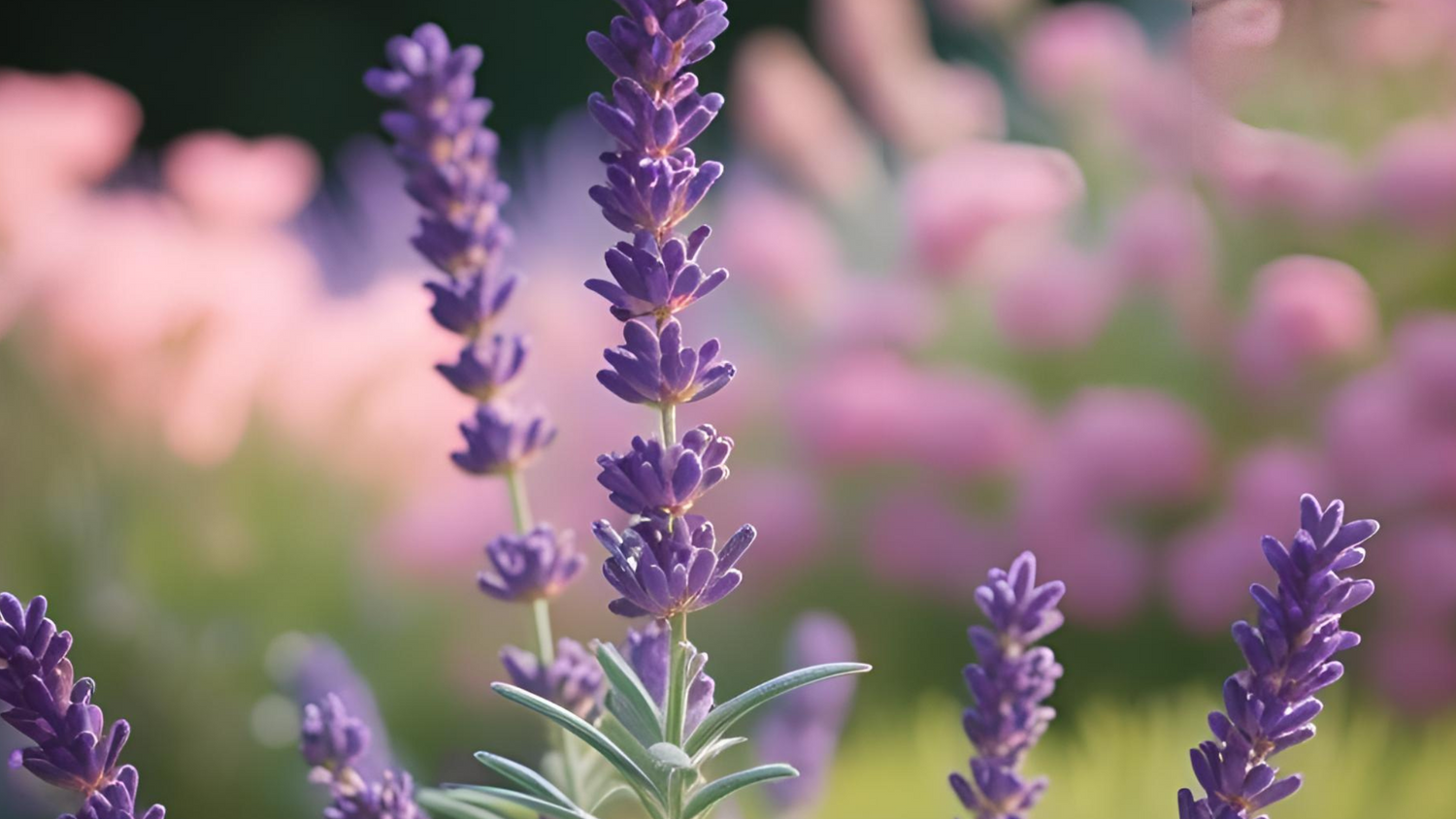 Because Mom Deserves the Purest Care: A Mother’s Day Gift Guide